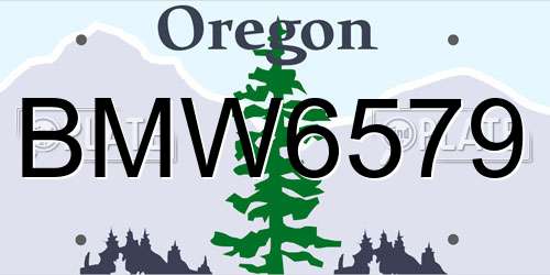 BMW6579 Oregon License Plate