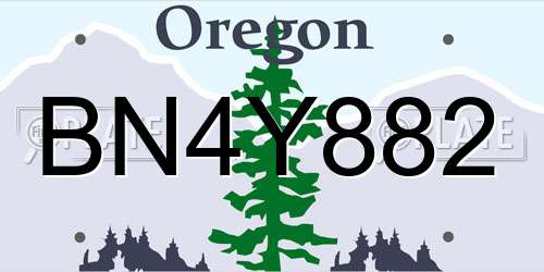 BN4Y882 Oregon License Plate