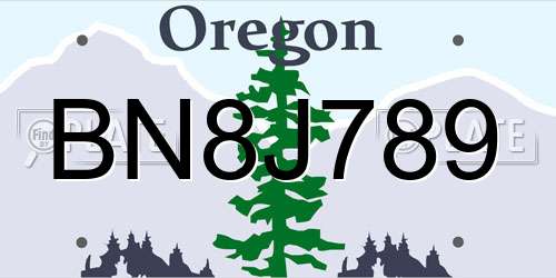 BN8J789 Oregon License Plate