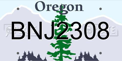BNJ2308 Oregon License Plate