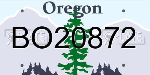 BO20872 Oregon License Plate
