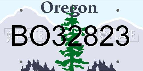 BO32823 Oregon License Plate