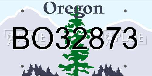 BO32873 Oregon License Plate