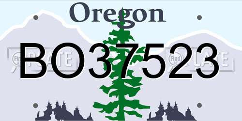 BO37523 Oregon License Plate