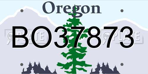 BO37873 Oregon License Plate