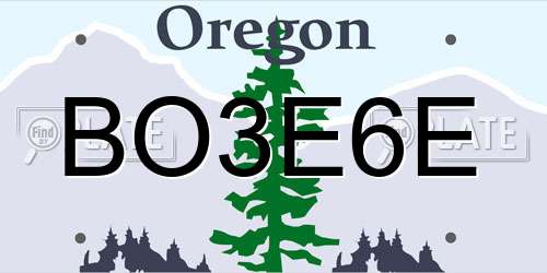 BO3E6E Oregon License Plate