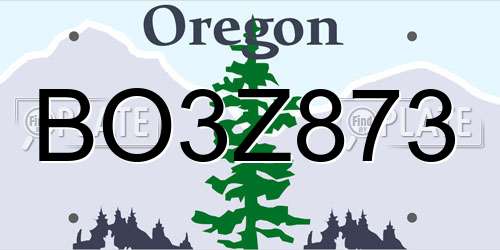 BO3Z873 Oregon License Plate