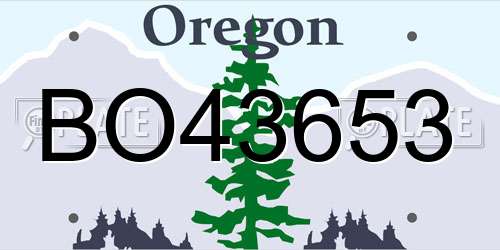 BO43653 Oregon License Plate