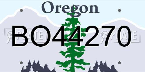BO44270 Oregon License Plate