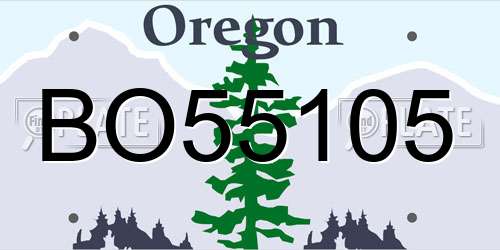 BO55105 Oregon License Plate