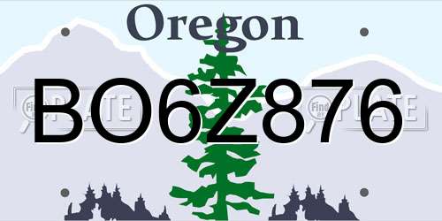 BO6Z876 Oregon License Plate