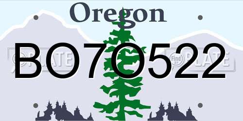 BO7O522 Oregon License Plate