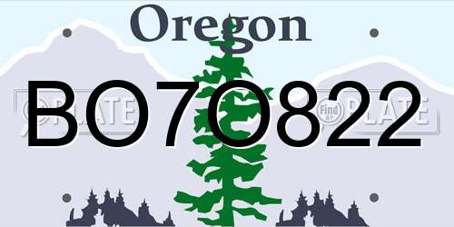BO7O822 Oregon License Plate