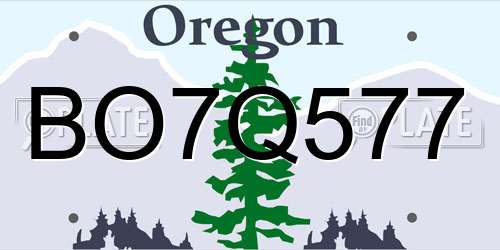 BO7Q577 Oregon License Plate
