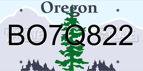 BO7Q822 Oregon License Plate