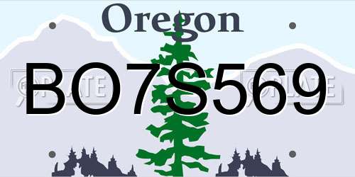 BO7S569 Oregon License Plate