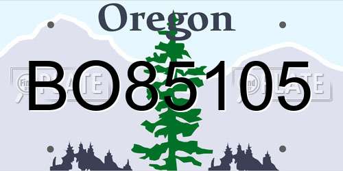 BO85105 Oregon License Plate