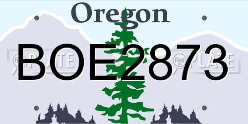 BOE2873 Oregon License Plate