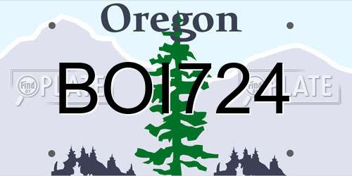 BOI724 Oregon License Plate