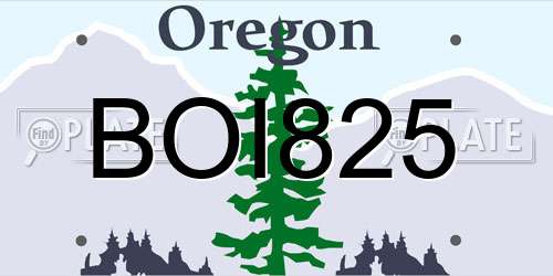 BOI825 Oregon License Plate