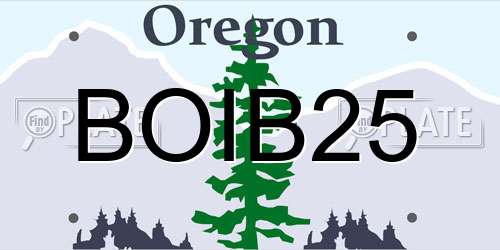 BOIB25 Oregon License Plate
