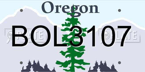 BOL3107 Oregon License Plate