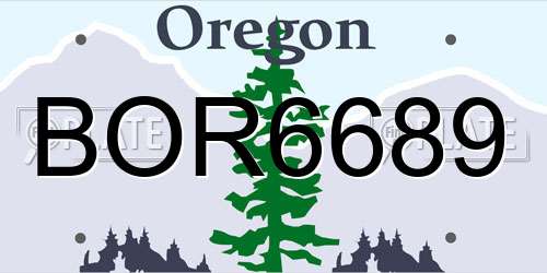 BOR6689 Oregon License Plate