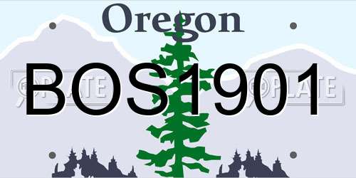 BOS1901 Oregon License Plate