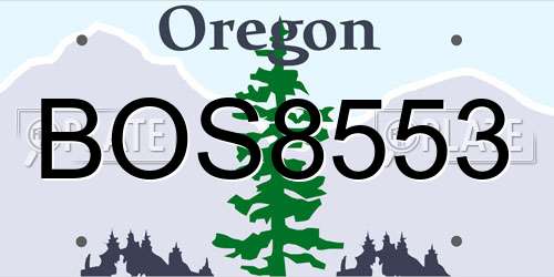 BOS8553 Oregon License Plate