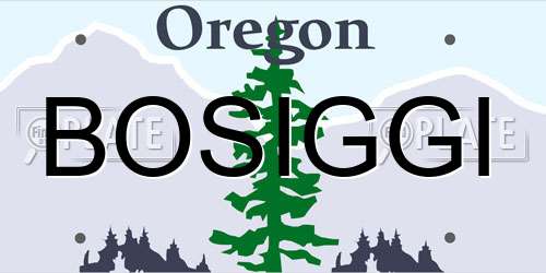BOSIGGI Oregon License Plate