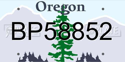 BP58852 Oregon License Plate