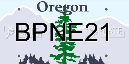 BPNE21 Oregon License Plate