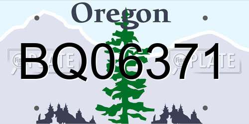 BQ06371 Oregon License Plate