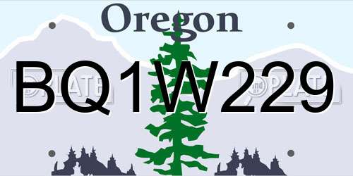 BQ1W229 Oregon License Plate