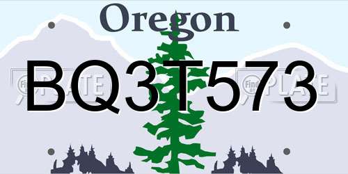 BQ3T573 Oregon License Plate