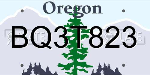 BQ3T823 Oregon License Plate