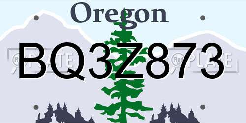 BQ3Z873 Oregon License Plate