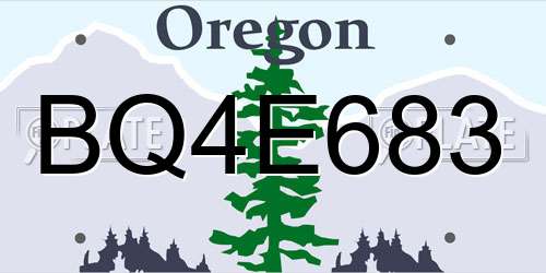 BQ4E683 Oregon License Plate