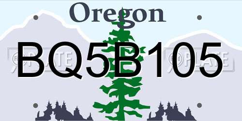 BQ5B105 Oregon License Plate