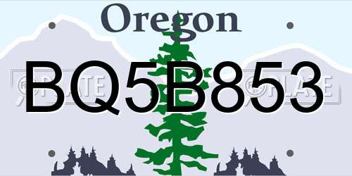 BQ5B853 Oregon License Plate
