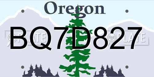 BQ7D827 Oregon License Plate