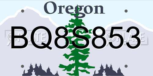 BQ8S853 Oregon License Plate