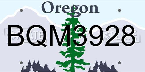 BQM3928 Oregon License Plate