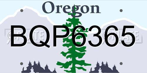 BQP6365 Oregon License Plate