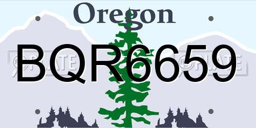 BQR6659 Oregon License Plate