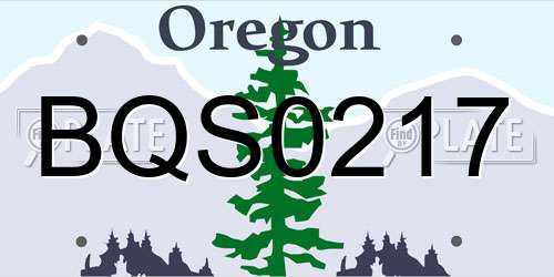 BQS0217 Oregon License Plate