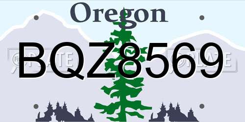 BQZ8569 Oregon License Plate