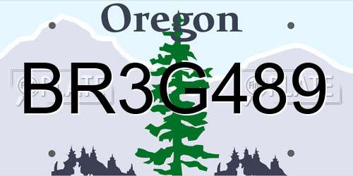BR3G489 Oregon License Plate