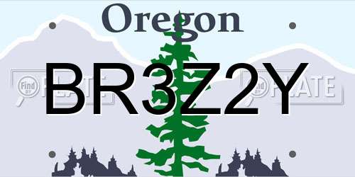 BR3Z2Y Oregon License Plate