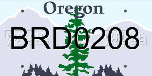 BRD0208 Oregon License Plate
